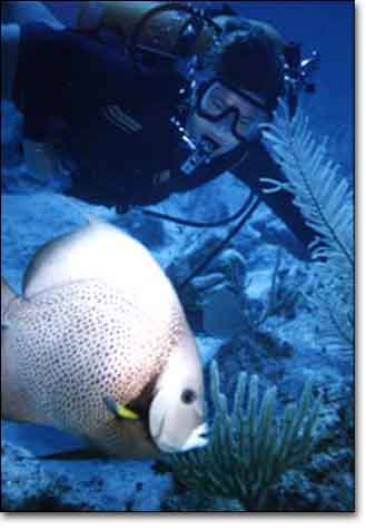 Scuba diving near a big white fish in Hawaii.